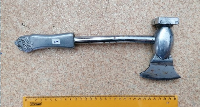 В Пензе мужчина пытался зарубить топором маленького ребенка