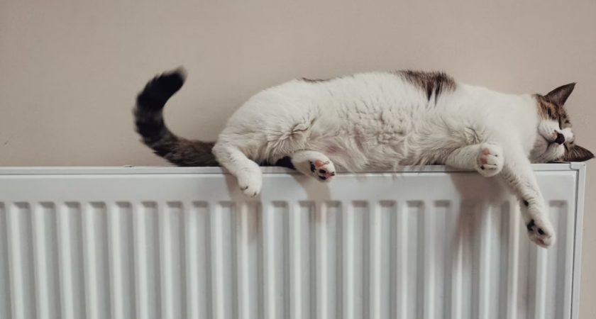 В микрорайоне Шуист на сутки отключат отопление и горячую воду