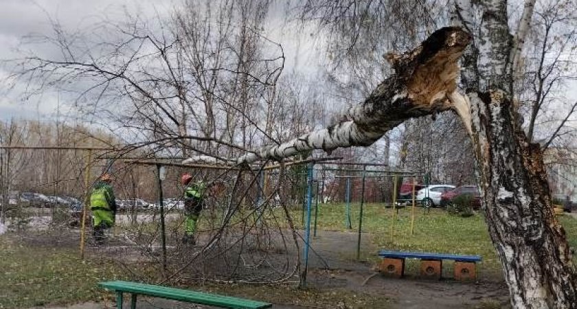 В Пензе ураган сносил крыши и деревья