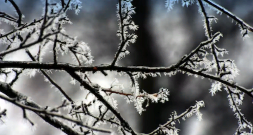 Снег, заморозки и ветер ожидаются в Пензенской области 16 ноября