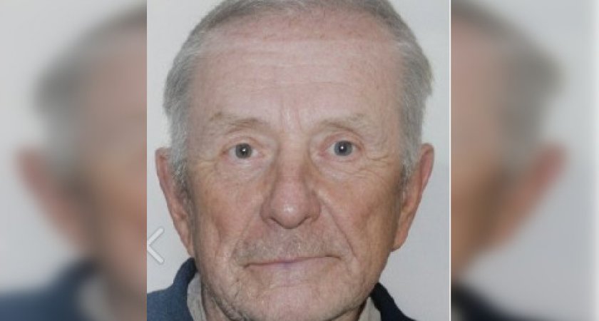 В Пензе разыскивают 84-летнего мужчину, который пропал 11 ноября 