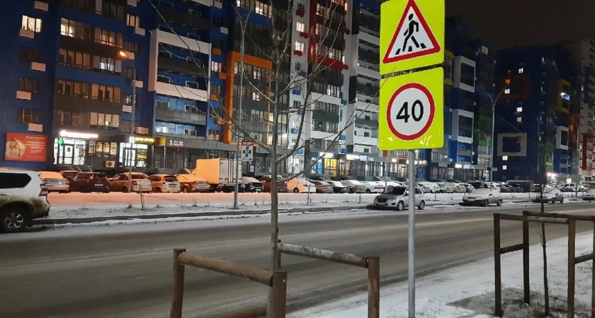 Соцсети: В Пензе сотрудники Госавтоинспекции оштрафовали 73-летнюю нарушительницу 