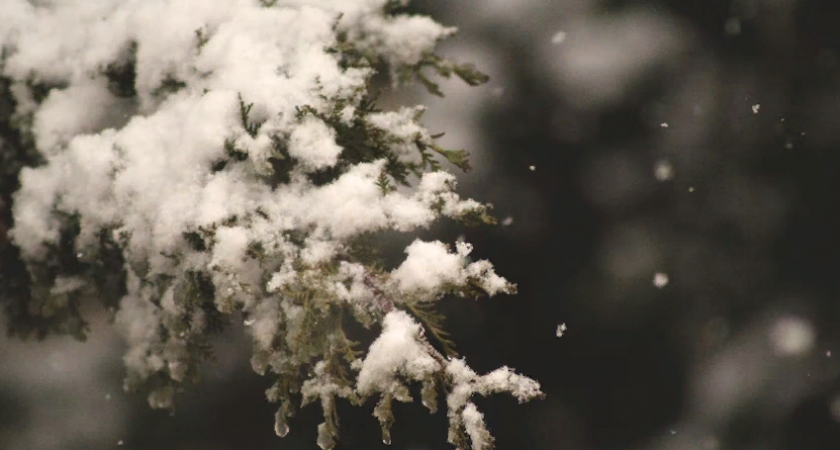 В пятницу в Пензенской области ожидается сильный мокрый снег и ветер 