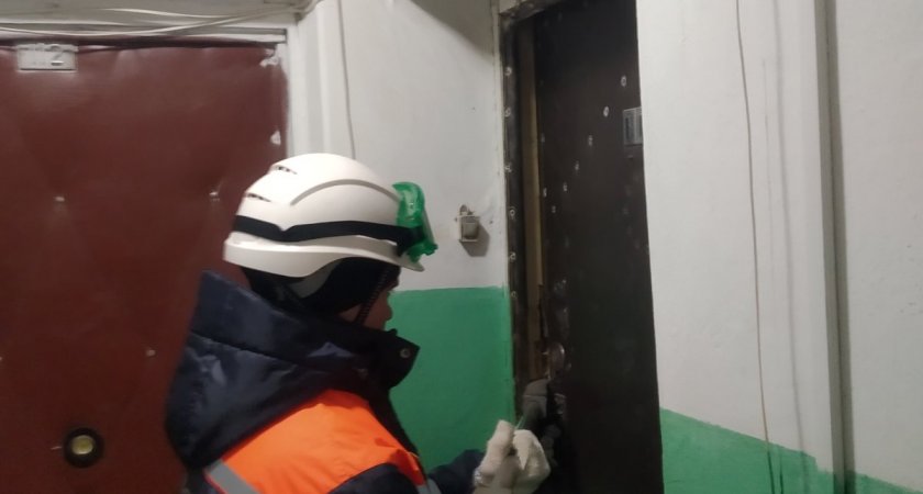 В выходные пензенские спасатели помогли девушке и ребенку, которые оказались запертыми