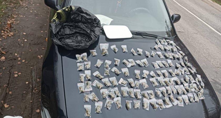 В машине пензенца нашли 119 свертков марихуаны 