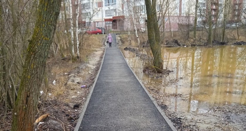 Пензенцы просят убрать болото на Ново-Казанской