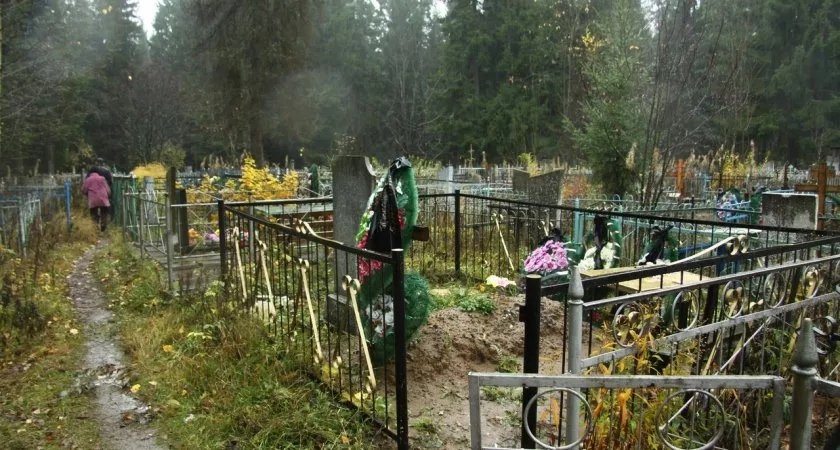 В Пензенской области осудили мужчину, который воровал чугунные плиты с кладбища