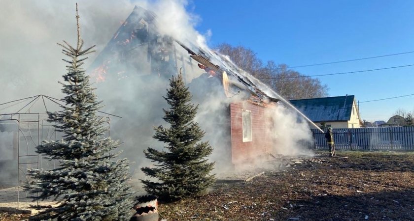 В селе Бессоновка Пензенской области сгорел деревянный дом 