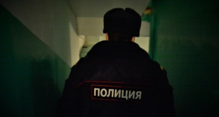 В Пензенской области полуголый мужчина сорвал погоны с полицейского