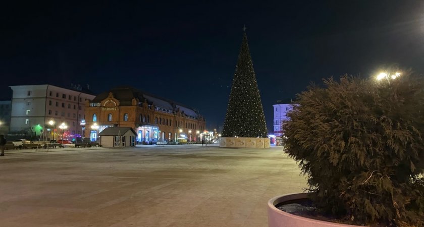 Пензенцы участвуют в новогодних акциях «Елка желаний» и «Новый год в каждый двор»