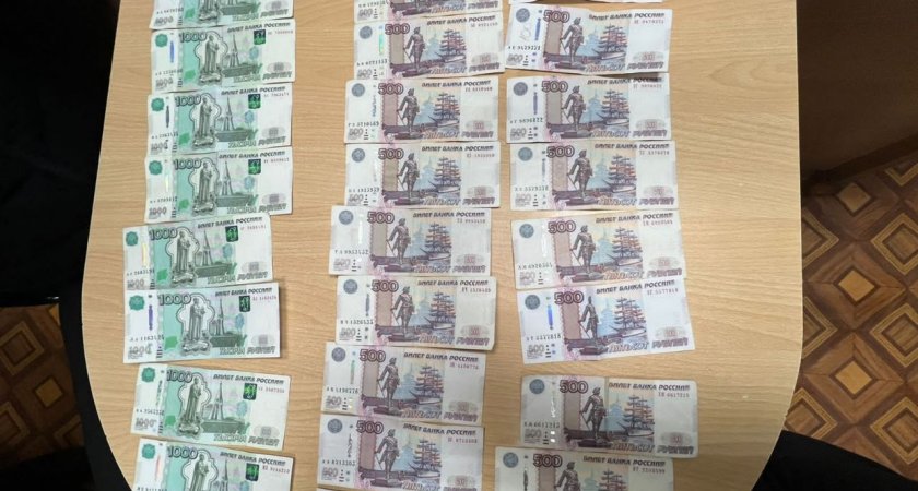 25-летнего жителя Пензенской области задержали за попутку дать взятку сотруднику ДПС