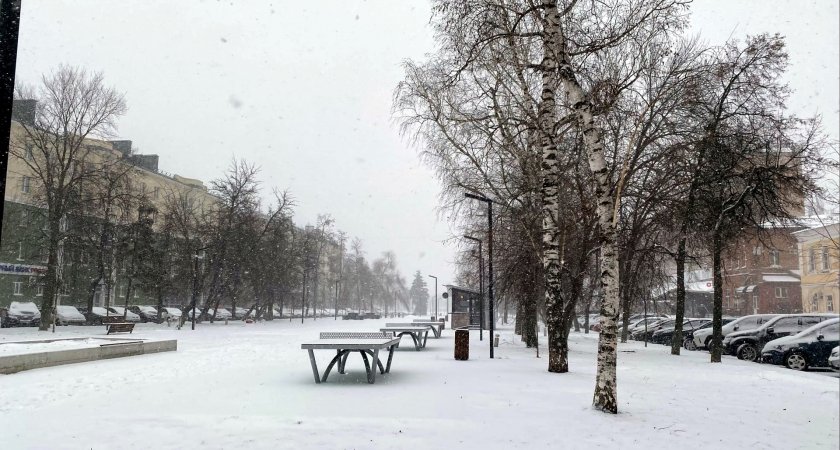 В Пензенской области в пятницу похолодает до -14 градусов 