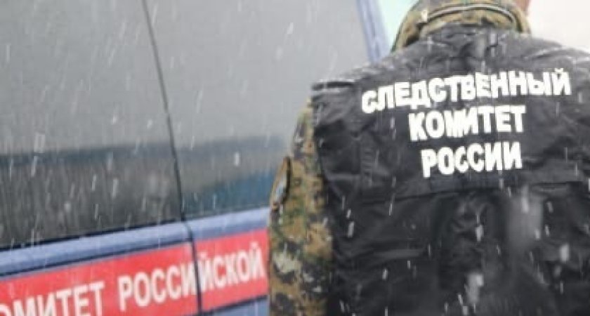 В Пензе суд вынес приговор ульяновцу, изнасиловавшему женщину 