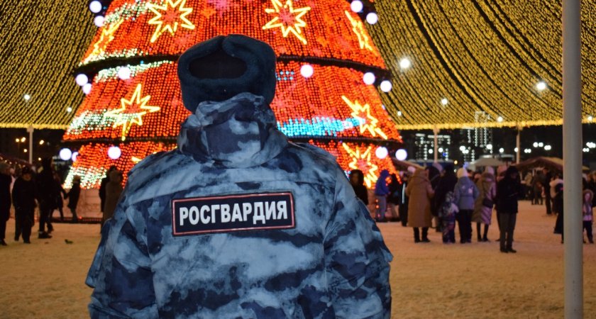 В новогоднюю ночь в Пензенской области будут дежурить более 200 сотрудников Росгвардии 