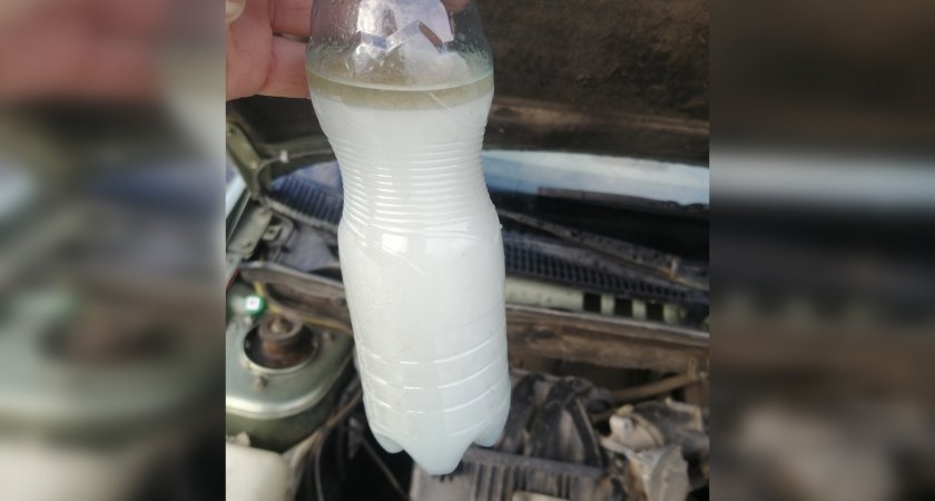 Необычное топливо: Пензенец заправил свою машину "кумысом" 