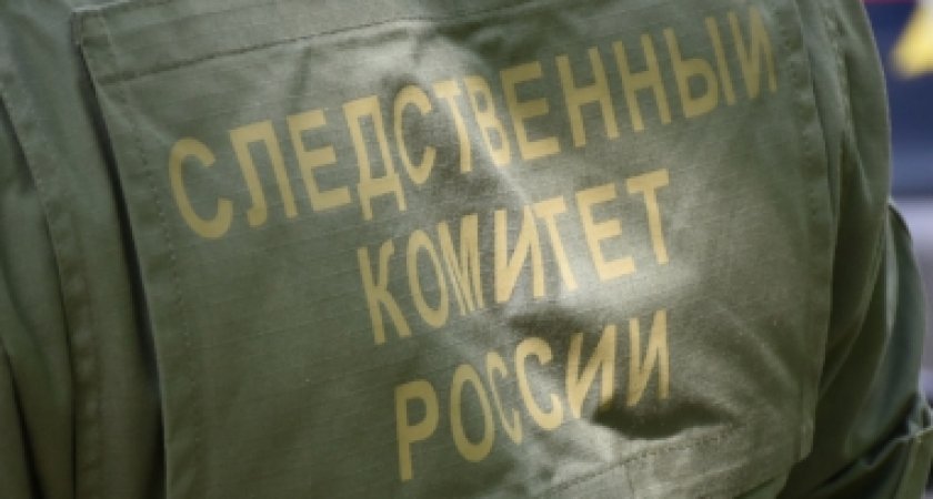 Пензенские следователи рассказали, где была пропавшая 15-летняя девушка