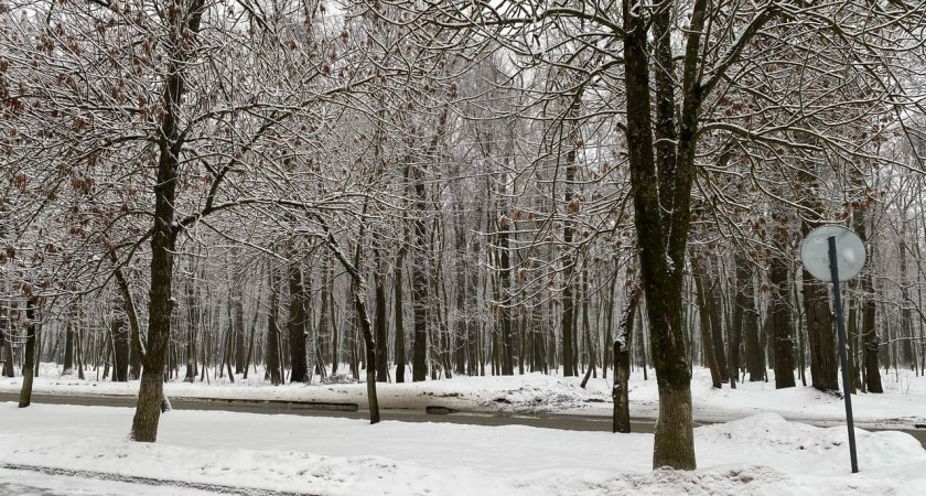 В ближайшие дни в Пензенской области ожидаются морозы до 27 градусов