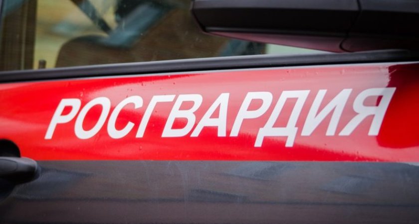 Пензенские сотрудники Росгвардии обеспечат охрану порядка на Рождество