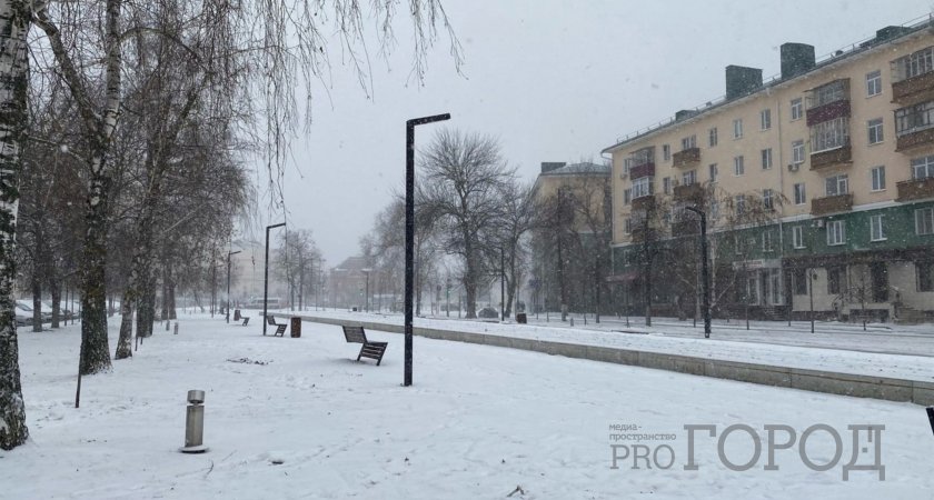 В Пензенской области из-за аномальных морозов ввели режим повышенной готовности