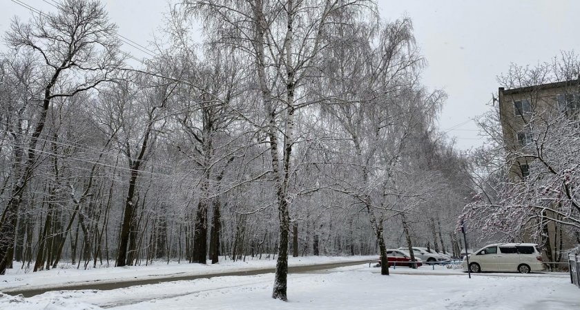 В Пензенской области сохранится желтый уровень погодной опасности из-за мороза в среду