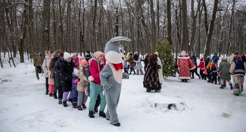 В новогодние выходные в Пензе прошло 905 праздничных мероприятий