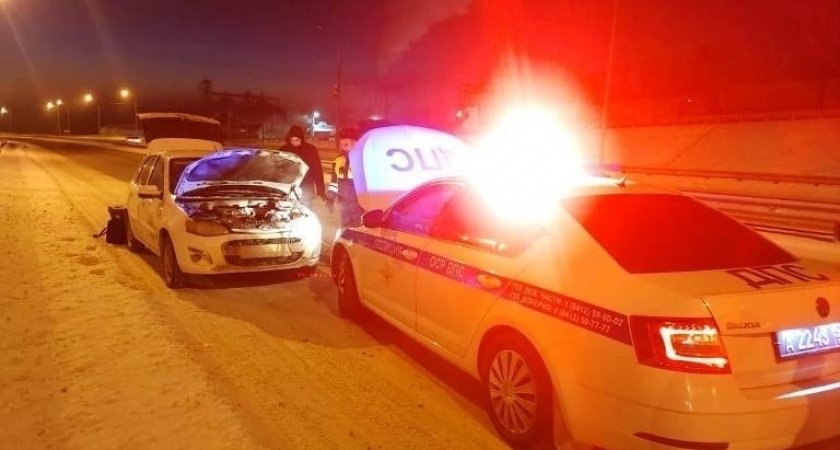 Пензенские госавтоинспекторы в мороз помогли водителю Калины на трассе М5