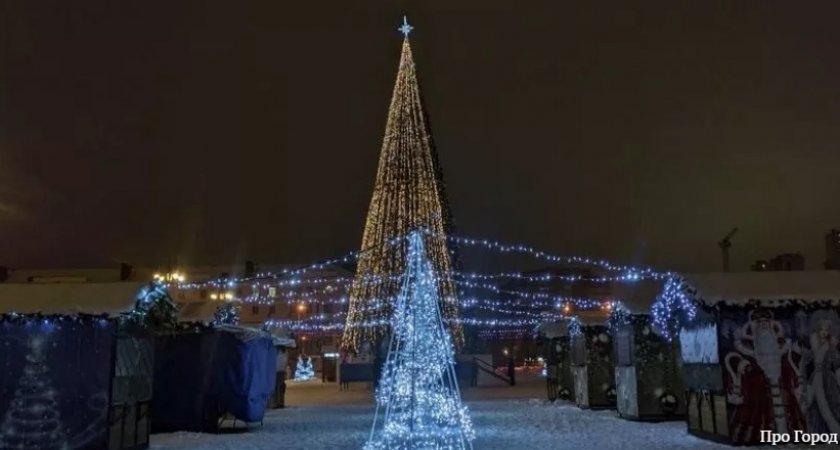 В Пензе демонтаж главной елки вышел дороже, чем ее установка 