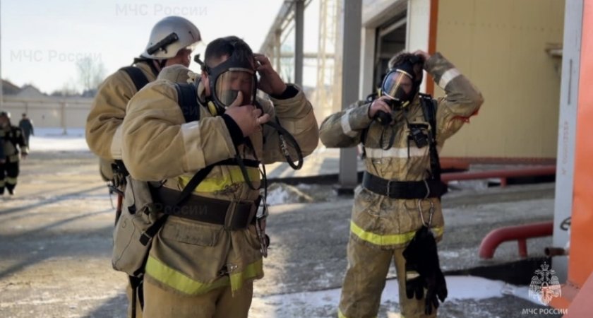 С начала года в Пензенской области при пожарах погибли 12 человек