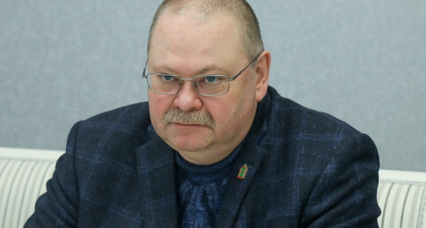 Мельниченко провел встречу с генеральным директором «ТНС энерго»