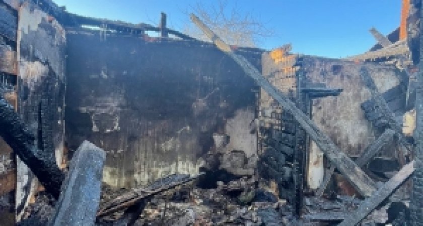 Следком разбирается в причинах пожара в Колышлейском районе Пензенской области