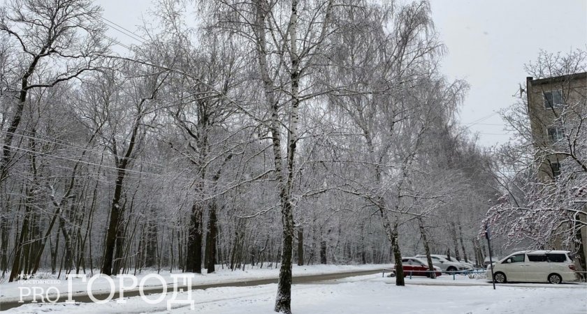В Пензенской области во вторник похолодает до -25 градусов 