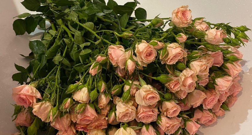 Больше трети пензенцев считают, что мужчинам нужно дарить цветы