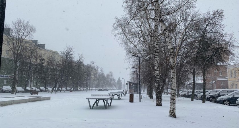 В Пензенскую область в конце неделю завалит снегом 