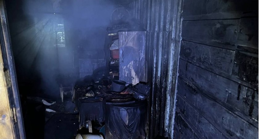 В Пензе в страшном ночном пожаре погиб мужчина