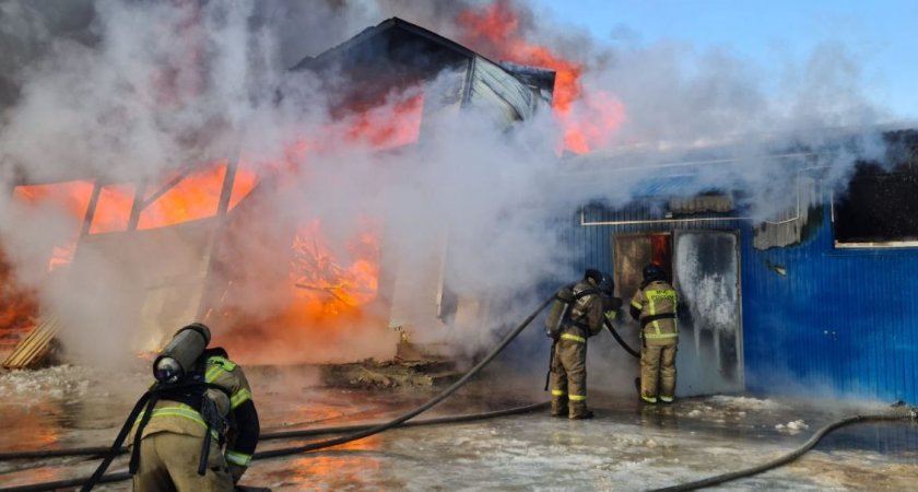 В Кузнецке догорел дотла цех мебельной фабрики
