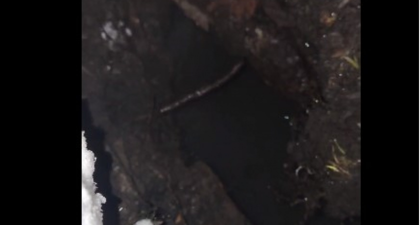 Жители на улице Калинина задыхаются от запаха канализации