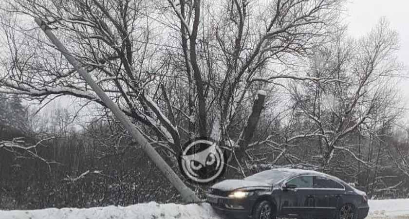 На улице Чаадаева в Пензе автомобиль врезался в столб