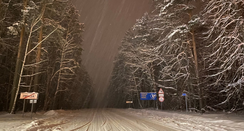 В Пензе 24 февраля ожидается небольшой снег и -8 градусов