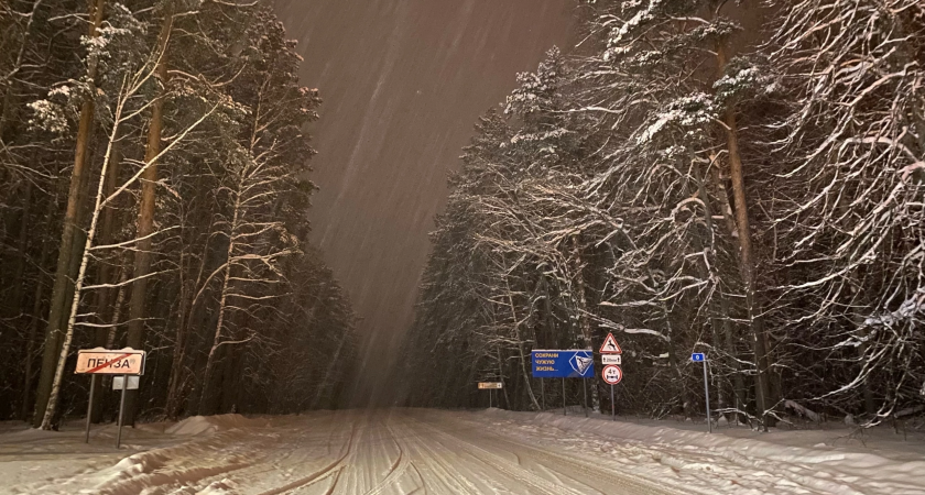 В субботу, 25 февраля, погода в Пензенской области резко ухудшится