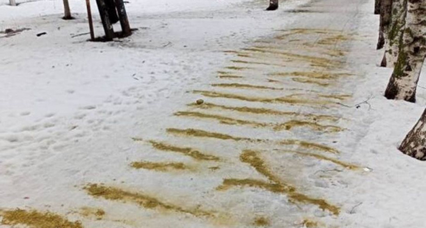 В Пензе зоны для пешеходов продолжают обрабатывать противогололедным материалом 