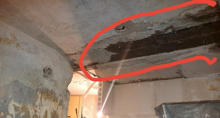 В Пензе в жилой квартире на Ульяновской из-за текущей крыши разросся грибок