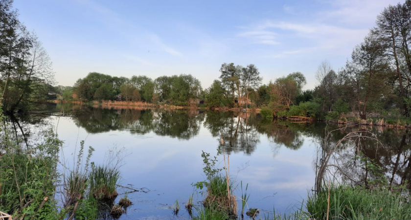 Более 12 миллионов рублей потратят на расчистку пруда в Бессоновском районе 