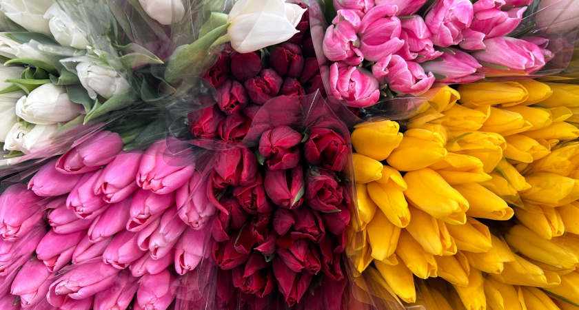 В Пензастате подсчитали расходы на празднование 8 Марта