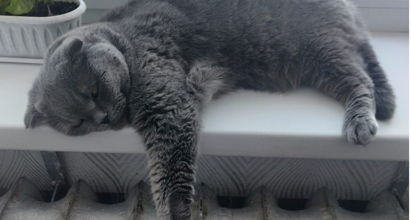 Известно, о допустимом превышении температуры в квартирах во время отопительного сезона 