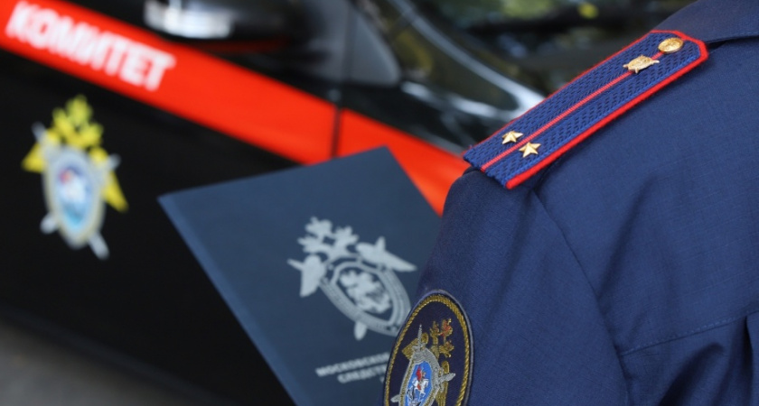 Жительница Кузнецка выдала синяки от падения за избиение соседками 