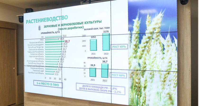 В Сердобском районе планируют построить завод по переработке пшеницы 