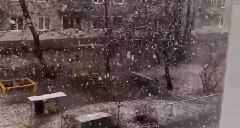 Пензенцы шокированы выпавшим снегом 
