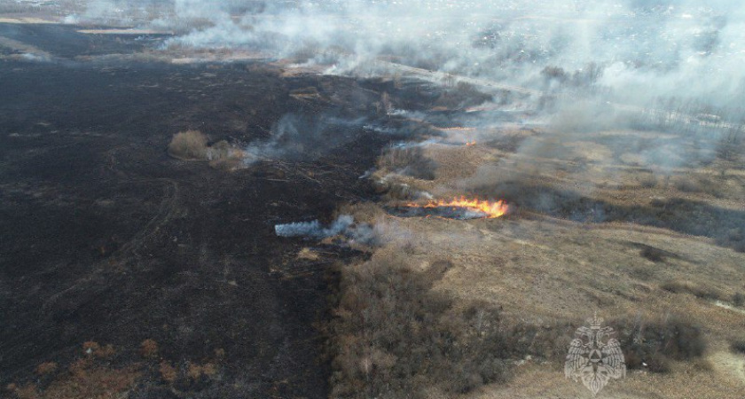 Пензенские пожарные выезжали 25 раз на тушение горящей травы за воскресенье 