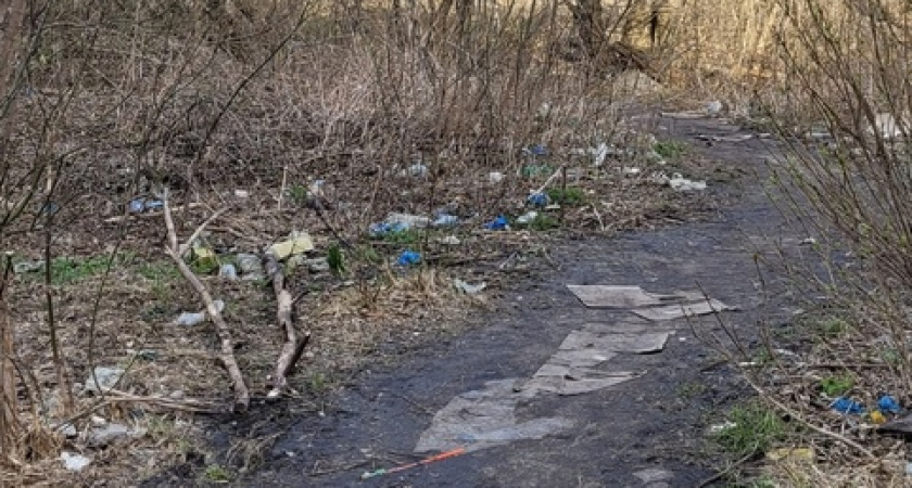 Пензячка попросила губернатора сделать парк на месте свалки в Терновке