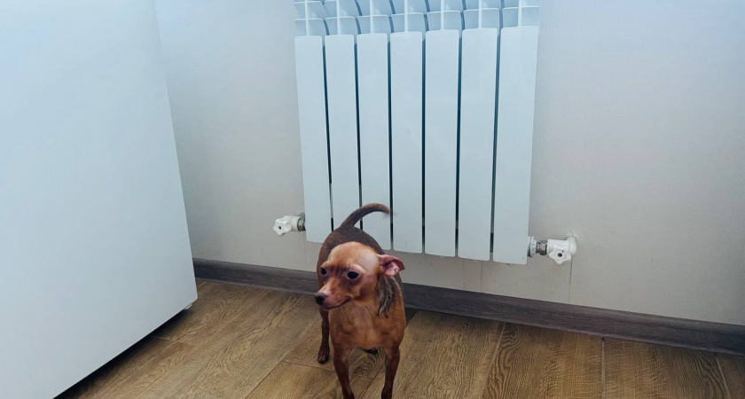 Пензенцы попросили не отключать отопление 10 апреля